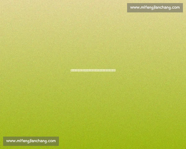 湖人对热火总决赛首战第三节攻防拉锯奠定胜负走势解析关键时刻